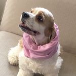 メッシュ新作★無地全6色　ピンク　犬用スヌード　中型犬用スヌード