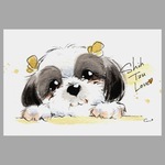 イラストの原画(ポストカードサイズ)【シーズー】55