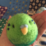 ころころカラフルなインコさん