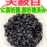 【100g モリオン】金運✨財運✨恋愛✨仕事運✨厄除け✨浄化✨魔除け✨守護✨邪気祓い✨悪縁切り✨黒水晶✨ブラック✨開運✨子宝✨第1チャクラ✨さざれ石✨天然石のお守り【天赦日ご祈祷済】