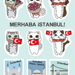【送料無料】MERHABA iSTANBUL!フレークシール