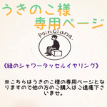 オーダー品《緑のシャワータッセルイヤリング》