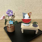朝顔と猫