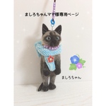 【受注製作】ましろちゃんママ様専用ページ