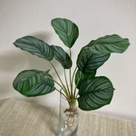 [送料込み] カラテア N2 フェイクグリーン　根付き　人工観葉植物　