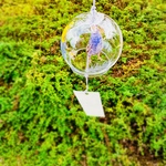 風鈴🎐セキセイインコちゃんと紫陽花A