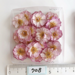 薔薇のドライフラワー
