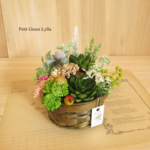 Petit Green Arrange 556