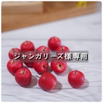 ジャンガリーズ様専用ページ
