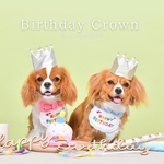 ミニ ベビークラウン wg（s）×w《100日、記念日、誕生日、ハーフバースデー、ニューボーン、ペット、1歳、王冠》 犬 猫 うさぎ