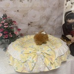 優しいたまご色のお花模様のペットベッド　マーガレット　デイジー