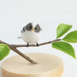 シマエナガ(幼鳥)とコブシ(辛夷)【部屋の中で野鳥観察シリーズ】