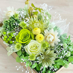 ハーバリウム花材　Green mix 花材セット　花材詰め合わせ　素材　花材　プリザーブドフラワー
