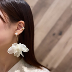 【New】Floche❁⃘*.ﾟ