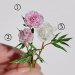 ①ミニチュアフラワー　芍薬　サラベル
