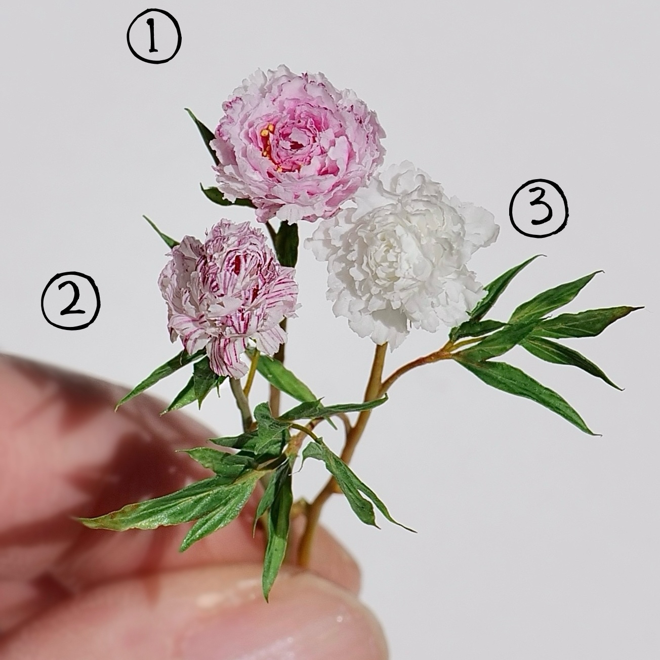 ②ミニチュアフラワー 芍薬 麒麟丸 - nagisa3rd | minne byGMOペパボ 