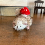キノコに寄生されたハリネズミ