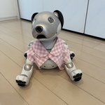 ピクニックシャツ(ピンク)