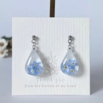 本物のお花 の しずく ピアス / イヤリング　勿忘草