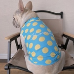 オーダー犬服 接触冷感 ラッシュガードタンク レモンサワー