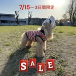 7/15〜7/17❤️SALE❤️★ベーシック型★タンクトップ★ネイティブ柄