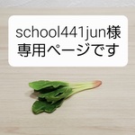 school441jun様専用ページ　1/6サイズミニチュアフード