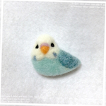 セイセイインコちゃん♡