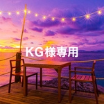 KG様専用です