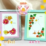 ぴーちゃん手描きポストカード　限定個数販売