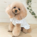 犬服＊夏チュニック