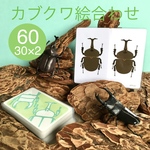 【絵合わせ】カブクワ 60枚（30種類×2） マッチングカード （むしAみどり）