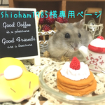 shioham1985様専用ページ