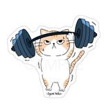 しゅみねこステッカー（筋トレ）