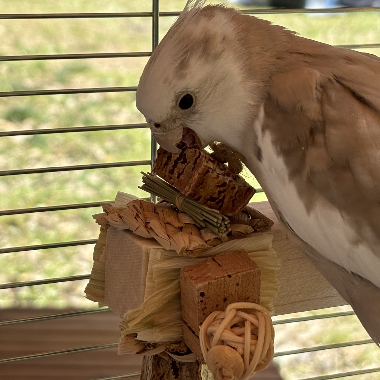 鳥のおもちゃ ☆バルサのかじれる止まり木 かじりほう台☆ 【鳥 インコ