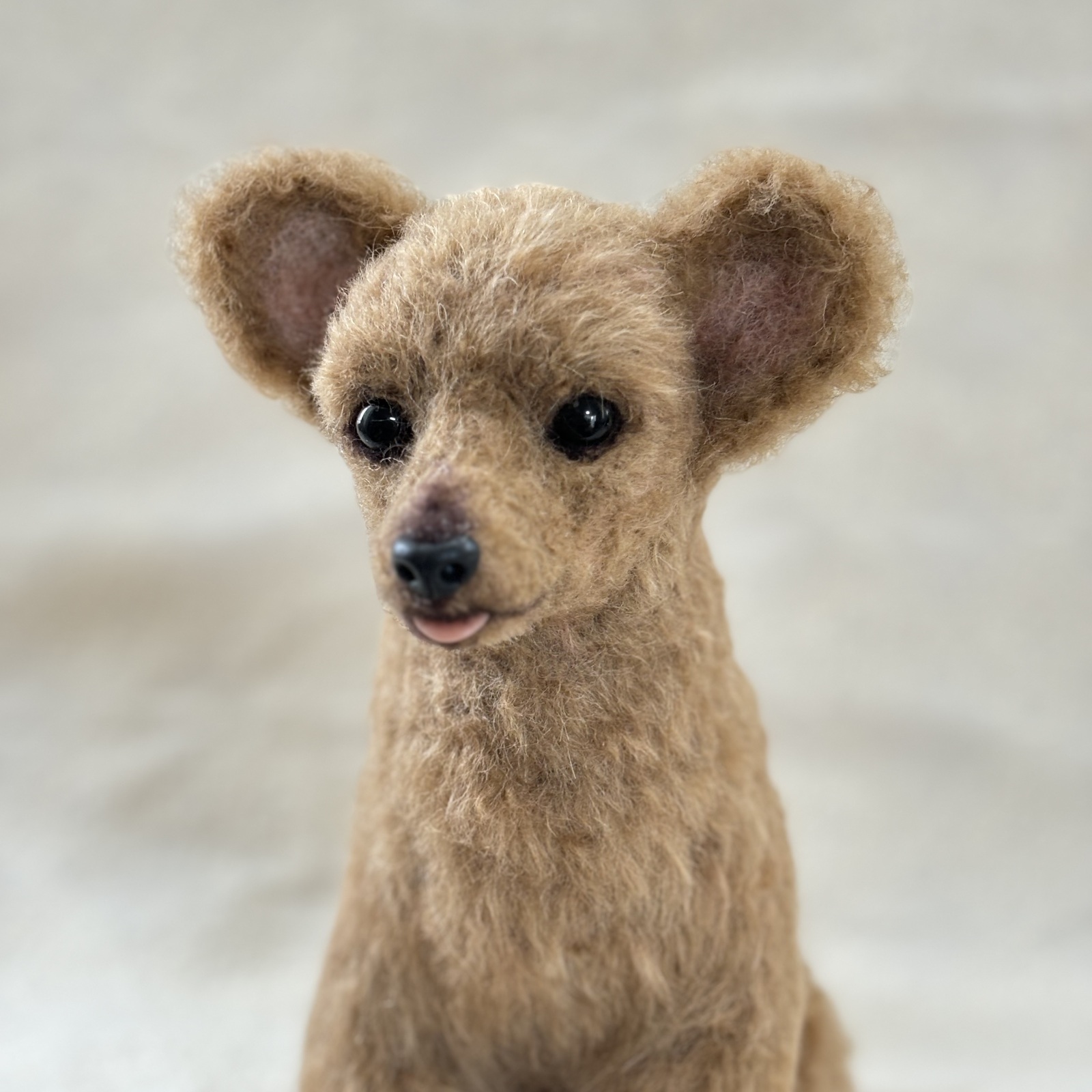羊毛フェルト[オーダーメイド]うちの子オーダー✴︎犬✴︎プードル