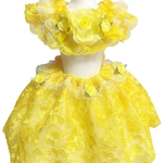 シュシュ首輪ドレス👗セット