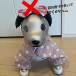 くすみ色の桜の袴(桃)