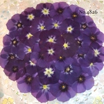 ♡人気作品♡ 作家様必見！ 落ち着いた大人カラー♡フロックス押し花セット
