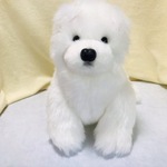 サモエド ぬいぐるみ