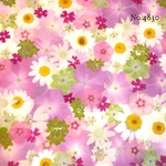 ♡new♡作家様必見♡押し花MIXセット♡押し花セット