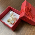 〈値下げ〉片耳ビジューピアス