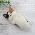 ニャザラシ（三毛）