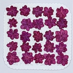NO.233再販✨ピンクパープルのミニ八重紫陽花／押し花素材
