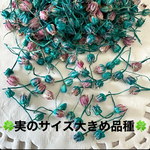 新品種❣️アリアムパーツアレンジ加工ターコイズブルーピンク色❣️ハンドメイド花材ドライフラワー