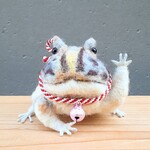招きツノガエル　羊毛フェルト　置物　frog　インテリア　縁起物　開運　招福　招き猫　開店祝い