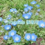 j10sheets様専用ページ