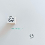 ネコのディー