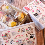 プレゼントに☆シャトンシャトン「子猫ちゃん季節のケーキBOX」☆6種類セット