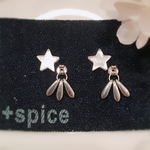 silver！silver！star☆ピアス