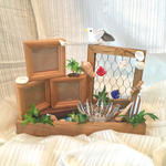 フォトフレーム＆アクセサリー小物収納（サーフボード 柄ストライプ）